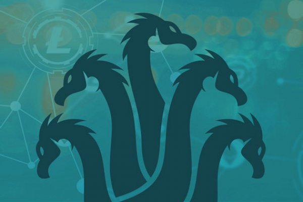 Kraken forum