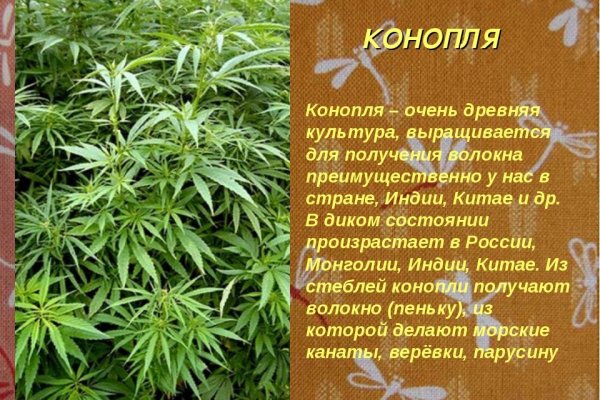 Даркмаркет кракен