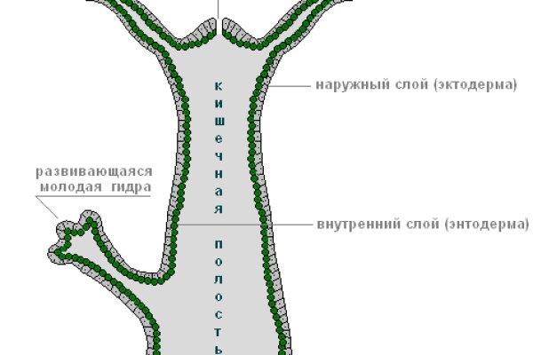 Кракен сайт упал