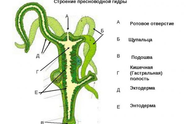 Открыть даркнет